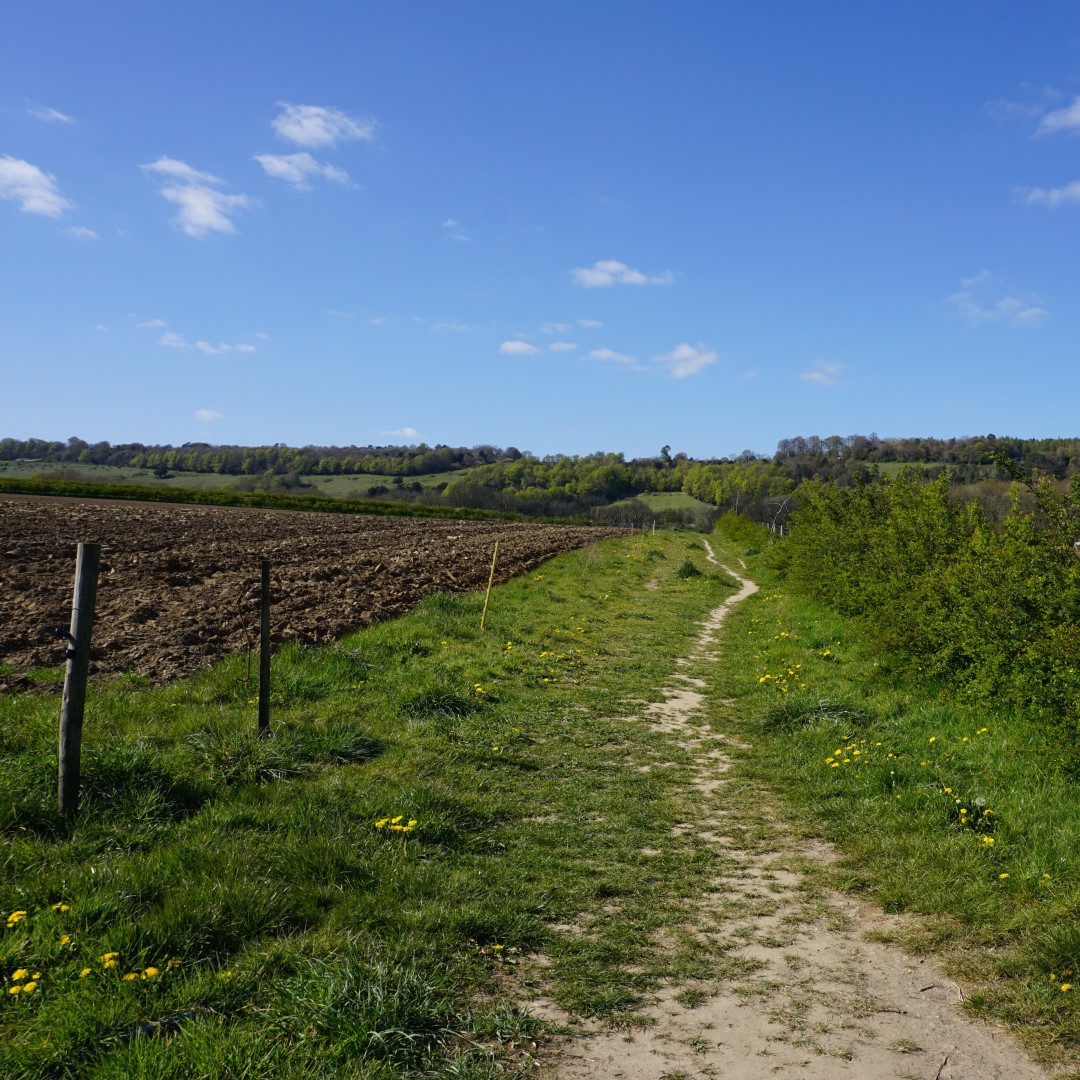 Footpath-towards-Ranmore