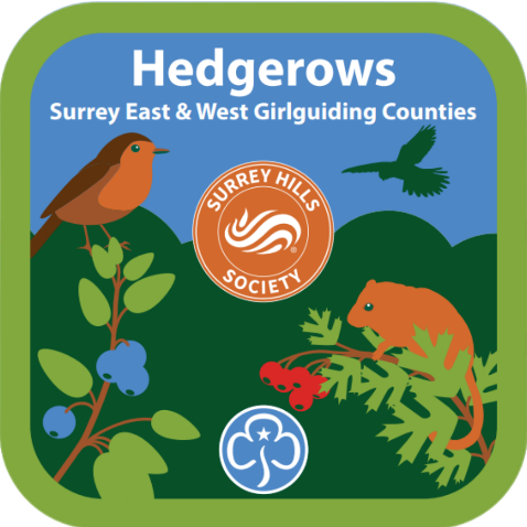 Surrey Girlguiding Hedgerow Badge